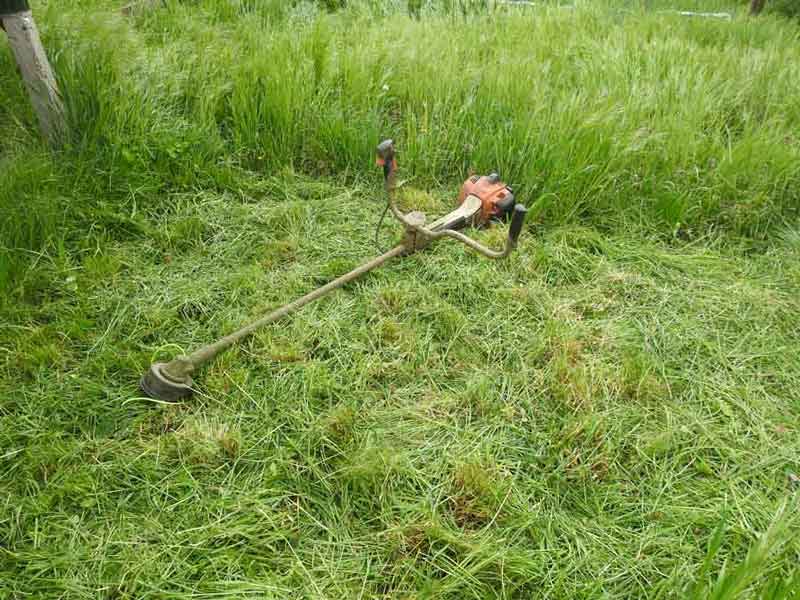 Fűkaszálás STIHL kaszagéppel